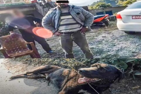 मोटरसाइकलमा बाँधेर कुकुर घिसार्ने ‘निर्दयी’ खुशीराम पोखरामा पक्राउ