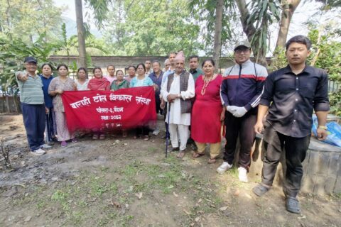 बाराही टोल विकास संस्थाद्वारा नेपाल भ्रमण वर्ष पार्कको सौन्दर्यकरण र पुनर्निर्माणको तयारी