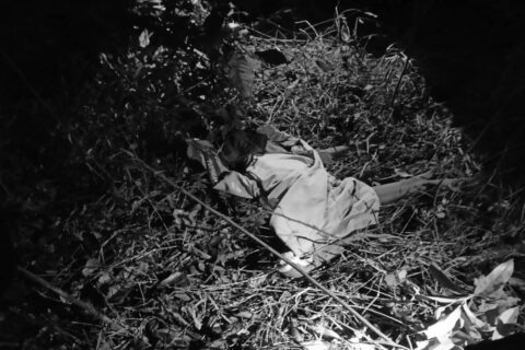 चितुवाको आक्रमणमा परी तनहुँको बन्दीपुरमा १० वर्षीया बालिकाको मृत्यु