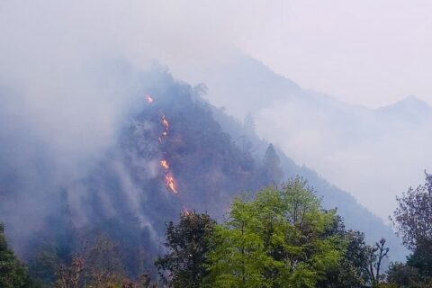 वनमा लागेको डढेलोमा परेर पाँचथरमा एक युवतीको मृत्यु, अन्य चार जना घाइते