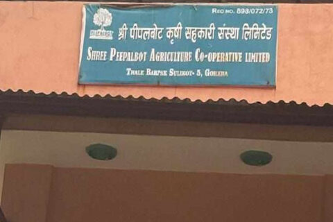 गोरखाको पिपलबोट कृषि सहकारी संस्थामा करीब दुई लाख रुपियाँ चोरी