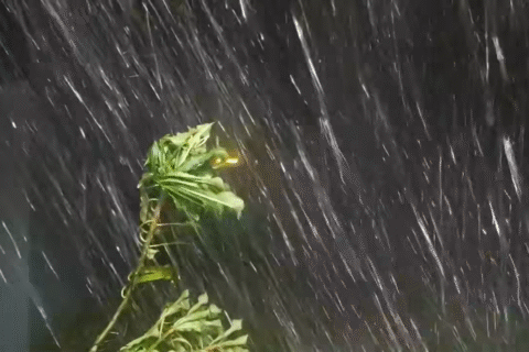 ख्याल गर्नुस है ,  आज कास्कीको लुम्ले क्षेत्रमा भारी वर्षा, बाढी र पहिरोको जोखिम