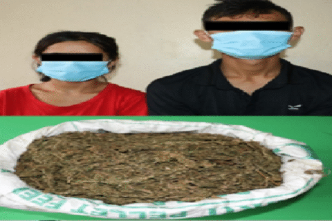 कास्कीको माछापुच्छ्रे गाउँपालिकाबाट साढे दुई किलो गाँजासहित दुई जना पक्राउ