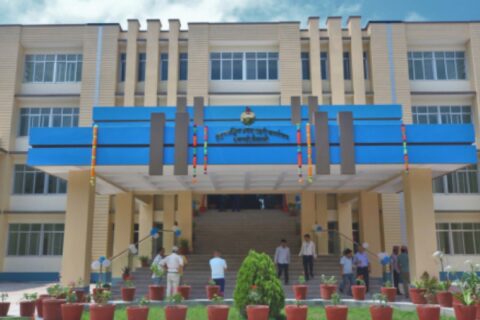 तीन थान पेस्तोल र जरायोको सिंहसहित तीन जना कैलालीबाट पक्राउ