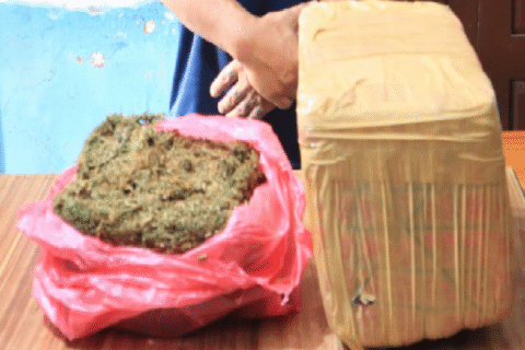 पोखराबाट छ किलो अबैध लागू औषध गाँजासहित एक युवा पक्राउ