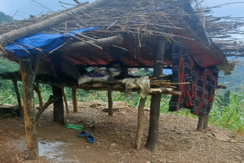 श्रीमानलाई रुखमा बाँधेर मकवानपुरमा राम्रोसंग बोल्न नसक्ने दुईमहिने सुत्केरीमाथि बलात्कार