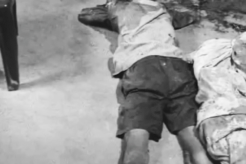 नवलपुरको राय खोल्सामा पुलामी मृत भेटिए