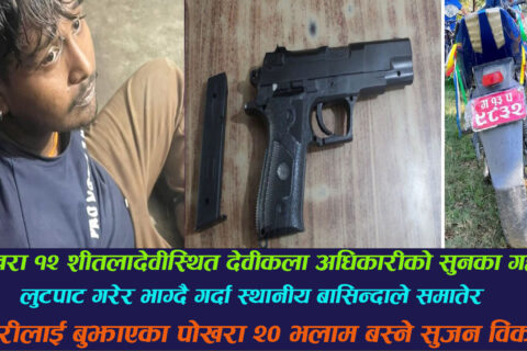 नक्कली पेस्तोल देखाएर पोखरामा लुटपाट : स्थानीयले समाएर प्रहरीलाई बुझाए