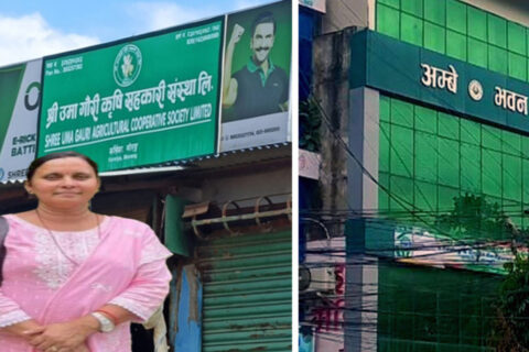 उमागौरी सहकारी ठगी प्रकरणः अन्जला कोइरालाले बुझाइन् एक करोड बराबरको बैंक ग्यारेन्टी