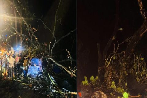 हावाहुरीका कारण  उदयपुरमा दुई जनाको मृत्यु, पांच घाइते