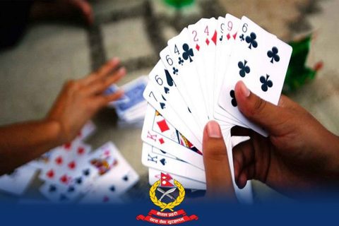 पोखराको लेखनाथबाट नौजना जुवाडे समातिए : तीनलाख रुपियाँ र एकसय ३४ अमेरिकी डलर पनि बरामद