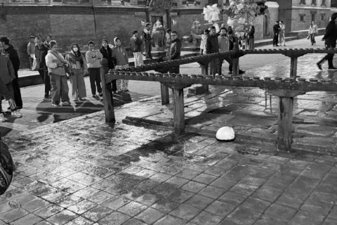 झुक्किएर गरिएको फोनको बिबाद चर्किंदा झापाका दाजुभाईको ललितपुरमा हत्या : पांच जना पक्राउ