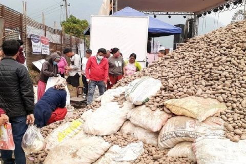 पोखराको हेम्जामा १४ औं राष्ट्रिय आलु महोत्सवको अन्तिम तयारी