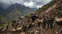 सङ्खुवासभामा पहिरोले भेडी गोठ पुरिँदा दुई सयभन्दा बढी भेडा हराए, एक जना घाइते  