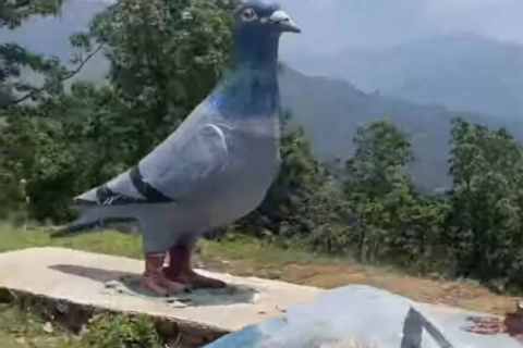 कसले फोडयो लमजुङको परेवा डाँडास्थित जोडी परेवाको शालिक ?