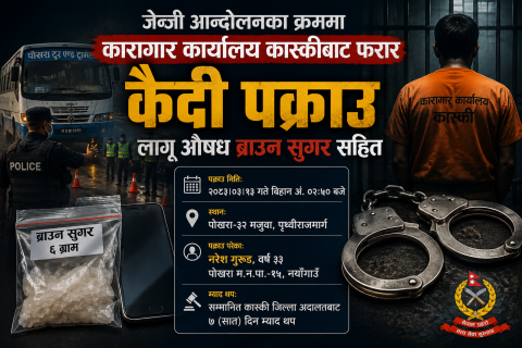 जेन्जी आन्दोलनमा कास्की कारागारबाट भागेका कैदी ब्राउन सुगरसहित पोखराबाट पक्राउ