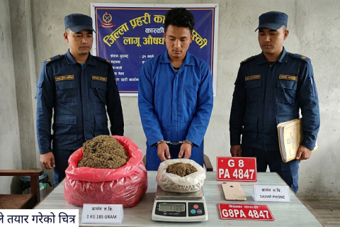 अबैध लागू औषध लागूऔषध गाँजासहित पोखराबाट एक युवक पक्राउ