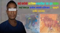 गाई काटेको आरोपमा म्याग्दीबाट एक युवक पक्राउ : गाई काट्न प्रयोग भएको हतियार र सुकुटी समेत बरामद