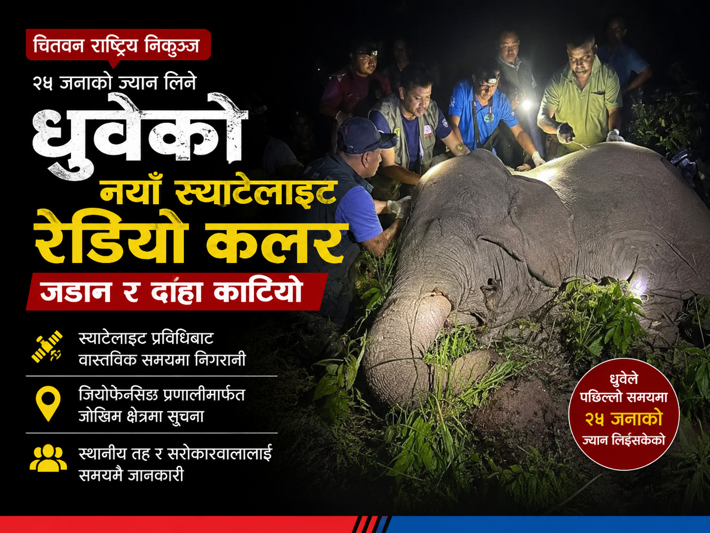जङ्गली हात्ती ‘ध्रुवे’को दाह्रा काटियाेः स्याटेलाइट प्रविधिमा आधारित नयाँ रेडियो कलर जडान गरेर जङ्गलमै छाडियाे