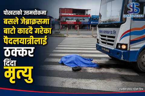 पोखरामा जेब्राक्रसबाट बाटो काट्दै गरेका पैदलयात्रीलाई बसले ठक्कर दिंदा मृत्यु