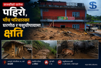 कास्कीको अन्नपूर्ण गाउँपालिकामा पहिरोले पाँच परिवार प्रभावित, घरगोठ र पशुचौपायामा क्षति