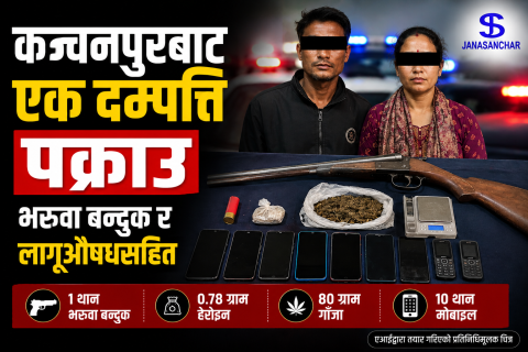 कञ्चनपुरबाट एक दम्पत्ति भरुवा बन्दुक र लागूऔषधसहित पक्राउ