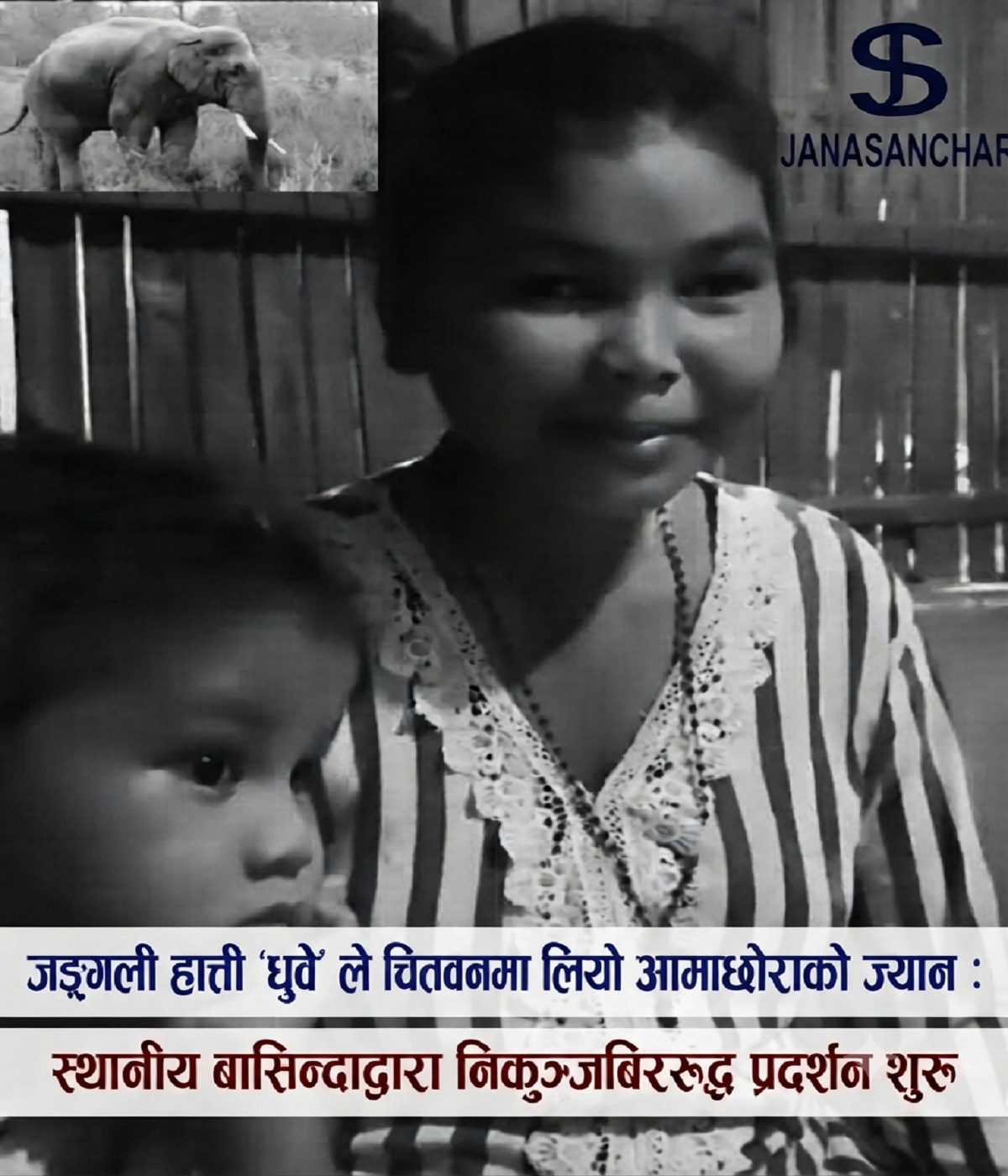 जङ्गली हात्ती ‘ध्रुवे’ले  चितवनमा लियो आमाछोराको ज्यान : स्थानीय बासिन्दाद्वारा निकुञ्जबिरुद्ध प्रदर्शन शुरु
