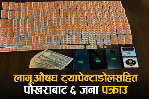 ठुलो मात्रामा ट्यापेन्टाडोलसहित पोखराबाट छ जना लागू औषध कारोबारी पक्राउ