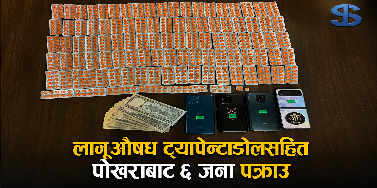 ठुलो मात्रामा ट्यापेन्टाडोलसहित पोखराबाट छ जना लागू औषध कारोबारी पक्राउ