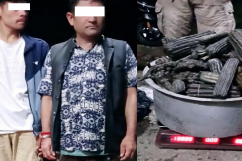 झन्डै १४ किलो अबैध लागू औषध चरेससहित कञ्चनपुरबाट दुई जना पक्राउ