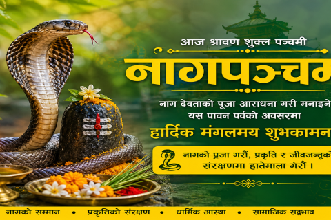 आज नागपञ्चमी, नागको पूजा-आराधना गरिँदै