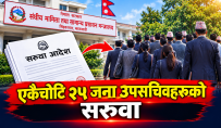 एकैचोटी २५ उपसचिवको सरुवा, हेर्नुहोस् को कहाँ ? 