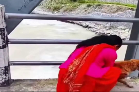 पक्राउ परेपछि जिउँदो कुकुरलाई सेती नदीमा फाल्नुको कारण के भनिन्, बझाङकी महिलाले ?