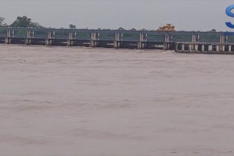सप्तकोशीमा जलसतह उच्च, कोशी ब्यारेजका ३८ ढोका खोलिए