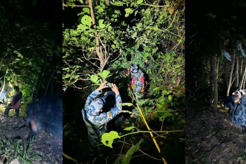 काभ्रेको सेल्फीडाँडाबाट गएराती माइक्रोबस खस्यो : चालकसहित तीन जना घाइते